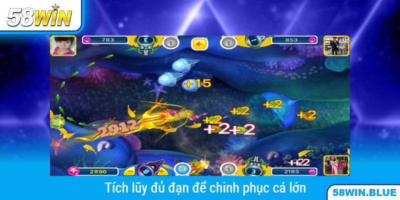 Tích lũy đủ đạn để chinh phục cá lớn