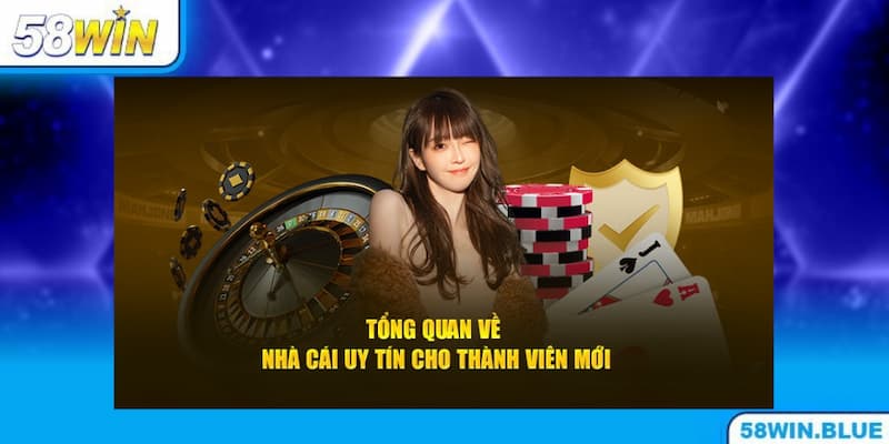 Giới thiệu sơ lược về nhà cái 58WIN