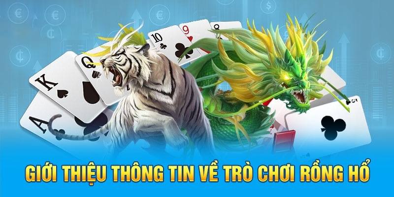 Tổng quan về trò chơi Rồng Hổ thu hút người tham gia