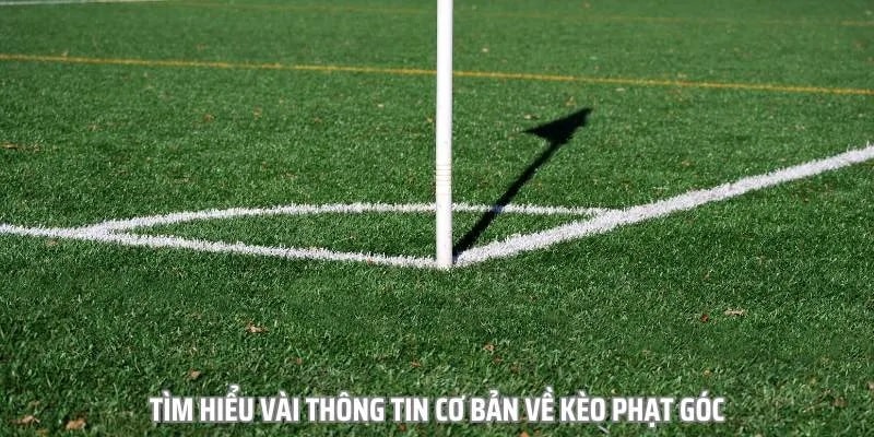 Giới thiệu kèo phạt góc, bóng đá Châu Âu