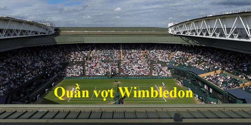 Giới thiệu quần vợt Wimbledon
